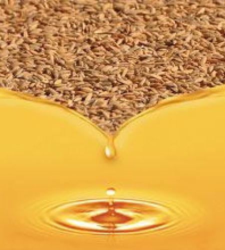 rice bran oil